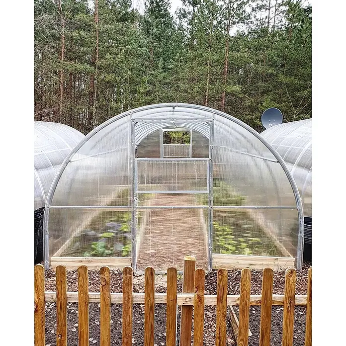 Garten Dream Gewächshaus - Außenmaß inkl. Dachüberstand (B x T): 250 x 800 cm, Material Seitenwand: Kunststoff, 4 mm, Silber - Gewölbtes Gewächshaus aus klarem Polycarbonat mit Metallrahmen, Pflanzen enthaltend, draußen hinter Holzzaun.