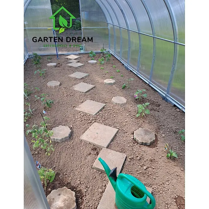 Garten Dream Gewächshaus Titan, 10mm Polycarbonat - Außenmaß inkl. Dachüberstand (B x T): 300 x 400 cm, Material Seitenwand: Kunststoff, 10 mm, Silber - Innenansicht eines transparenten Gewächshauses mit jungen Pflanzen und einem Weg aus Trittplatten auf der Erde.