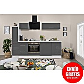 Respekta Premium Composición de cocina (Ancho: 250 cm, Con dispositivos eléctricos, Gris de alto brillo)