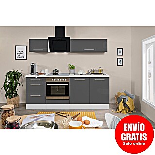 Respekta Premium Composición de cocina Amanda (Ancho: 210 cm, Blanco/Gris, Con electrodomésticos)