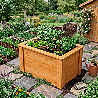 Westmann Hochbeet Lärche 100 (100 x 65 x 66 cm, Holz, Natur)