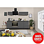 Respekta Premium Composición de cocina (Ancho: 220 cm, Con dispositivos eléctricos, Gris de alto brillo)