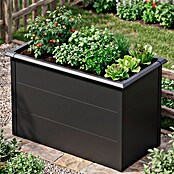 Westmann Hochbeet Primus M (50 x 100 x 77 cm, Metall, Anthrazit) | BAUHAUS