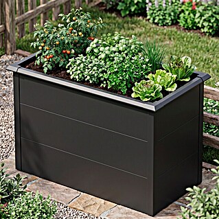Westmann Hochbeet Primus M (50 x 100 x 77 cm, Metall, Anthrazit)