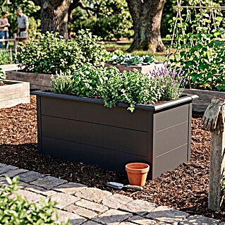 Westmann Hochbeet Primus L (75 x 150 x 77 cm, Stahl, Anthrazit)