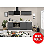 Respekta Premium Composición de cocina (Ancho: 220 cm, Con dispositivos eléctricos, Gris de alto brillo)