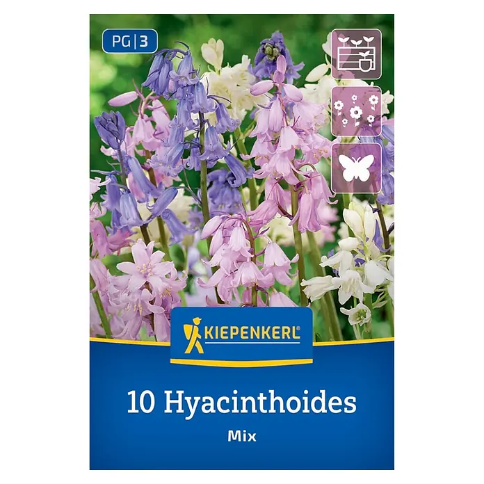 Kiepenkerl Blumenzwiebeln Hasenglöckchen Mischung - Hyacinthoides hispanica - Kiepenkerl Packung mit 10 Hyacinthoides Mix Blumenzwiebeln, zeigt blaue, rosa und weiße Glockenblumen.