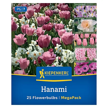 Kiepenkerl  Blumenzwiebeln Mega Pack