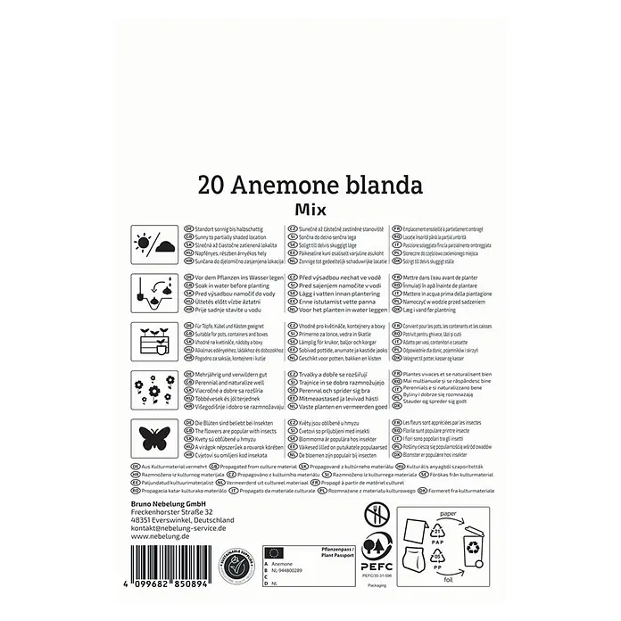 Kiepenkerl Blumenzwiebeln Balkan-Windröschen Mischung - Anemone blanda - Verpackung für 20 Anemone blanda Mix mit mehrsprachiger Pflanzanleitung und Produktdetails.