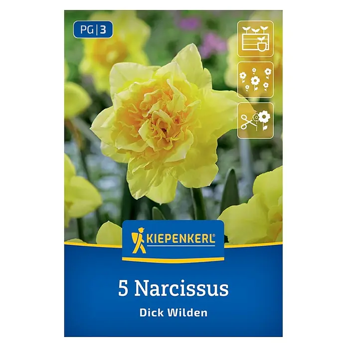 Kiepenkerl Blumenzwiebeln gefüllte Narzisse - Narcissus pseudonarcissus 'Dick Wilden' - KIEPENKERL Packung mit 5 Narzissenzwiebeln 'Dick Wilden', mit Abbildung einer gelben Doppelnarzisse und Pflege-Symbolen.
