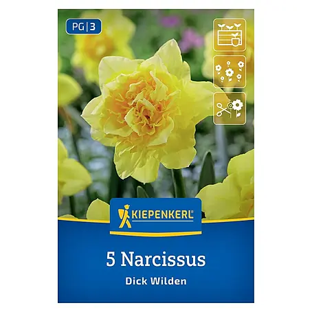 Kiepenkerl  Blumenzwiebeln gefüllte Narzisse
