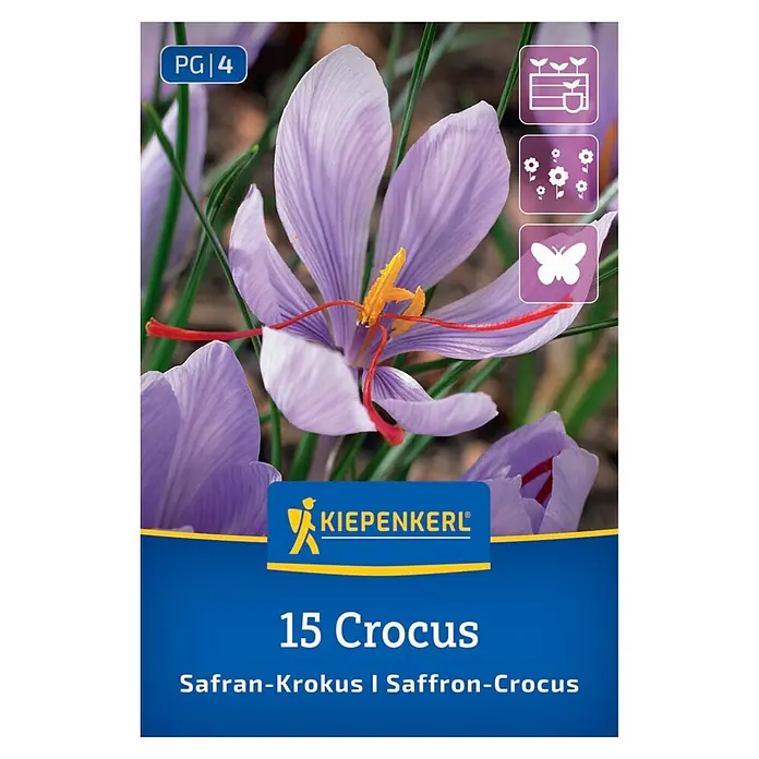 Kiepenkerl Blumenzwiebeln Safrankrokus - Crocus sativus - Produktverpackung für Safran-Krokus mit hellvioletten Blüten, roten Stempeln und gelben Staubgefäßen.