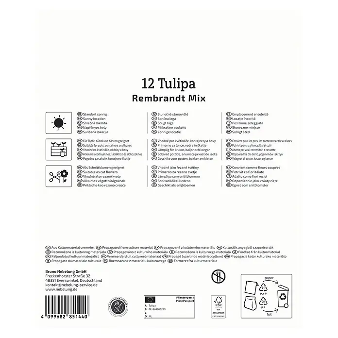 Kiepenkerl Blumenzwiebeln Mega-Pack Rembrandt-Tulpen - Tulipa hybrids Mischung Rembrandt - Verpackungsetikett für 12 Tulipa Rembrandt Mix, mit Anbauinformationen, Barcode und Zertifizierungen.