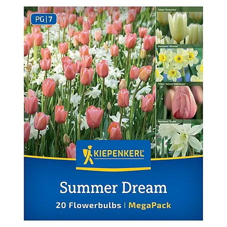 Kiepenkerl  Blumenzwiebeln Mega Pack