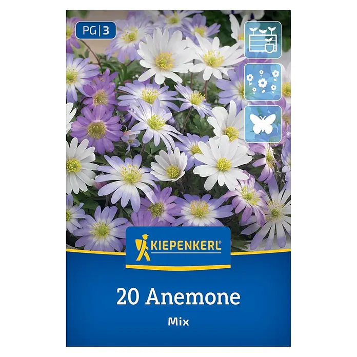 Kiepenkerl Blumenzwiebeln Balkan-Windröschen Mischung - Anemone blanda - Kiepenkerl 20 Anemone Mix Packung mit weißen und violetten Anemonenblüten mit gelber Mitte und Informationssymbolen.