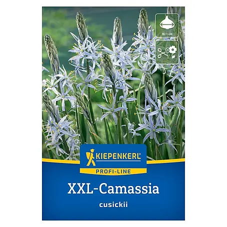 Kiepenkerl Profi-Line Blumenzwiebeln Prärielilie