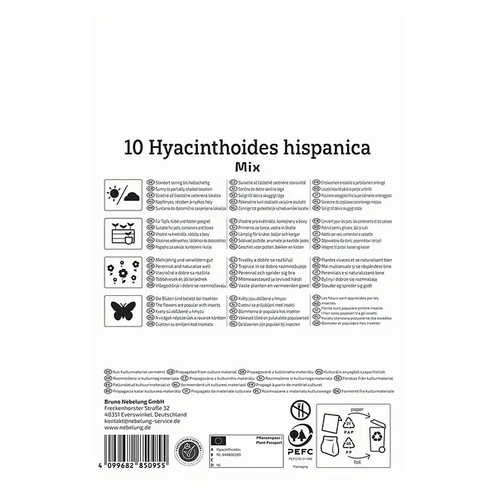 Kiepenkerl Blumenzwiebeln Hasenglöckchen Mischung - Hyacinthoides hispanica - Weiße Verpackung für '10 Hyacinthoides hispanica Mix' mit mehrsprachigen Pflanzeninformationen und Recyclingsymbolen.