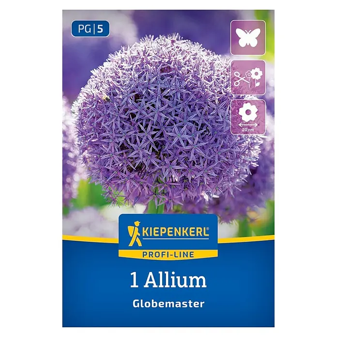 Kiepenkerl Profi-Line Blumenzwiebeln Zierlauch - Allium sp. 'Globemaster' - Verpackung für 1 Allium Globemaster Zwiebel, zeigt eine große, kugelförmige violette Blüte aus vielen sternförmigen Blüten.