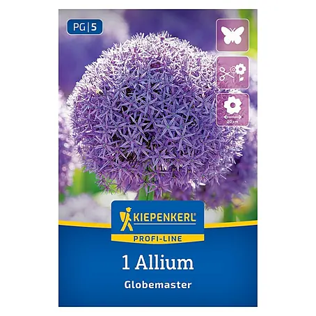 Kiepenkerl Profi-Line Blumenzwiebeln Zierlauch