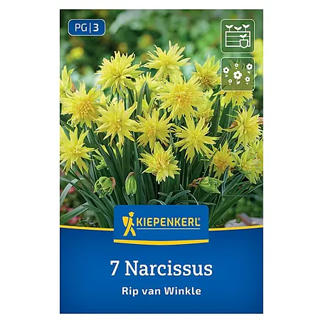 Kiepenkerl  Blumenzwiebeln gefüllte Narzisse