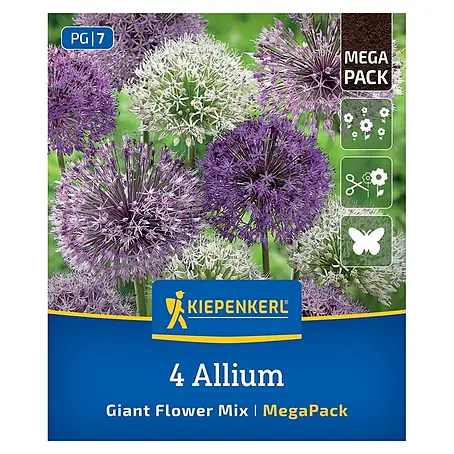 Kiepenkerl  Blumenzwiebeln Mega Pack
