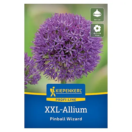 Kiepenkerl Profi-Line Blumenzwiebeln XXL Zierlauch Pinball Wizard