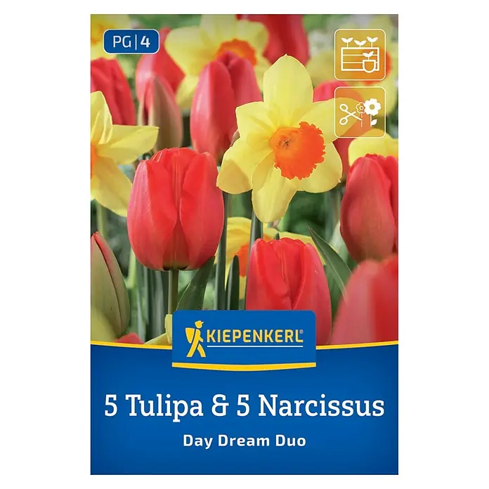 Kiepenkerl Blumenzwiebeln Tulpen & Narzissen Mix - Day Dream Duo - Packung mit 5 roten Tulpen- und 5 gelben Narzissenzwiebeln, dargestellt durch ihre Blüten, beschriftet 'Day Dream Duo'.