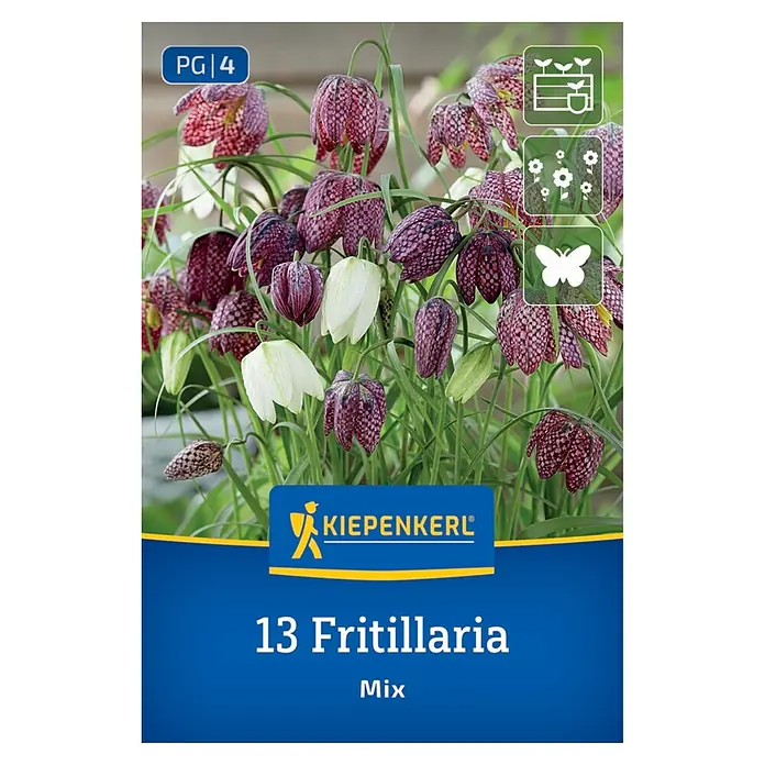 Kiepenkerl Blumenzwiebeln Schachbrettblumen Mischung - Fritillaria meleagris - Verpackung für Kiepenkerl Fritillaria Mix mit lila und weiß karierten Blüten.