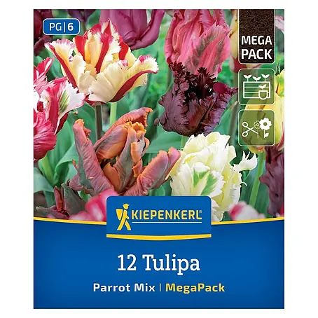 Kiepenkerl  Blumenzwiebeln Mega-Pack Papageien-Tulpen