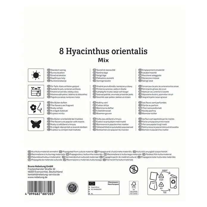 Kiepenkerl Blumenzwiebeln Mega Pack - Hyacinthus orientalis - Weiße Verpackung für 8 Hyacinthus orientalis Mix Zwiebeln, mit schwarzem Text und Symbolen.