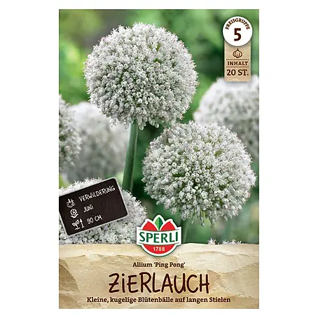 Sperli  Blumenzwiebeln Zierlauch Ping Pong
