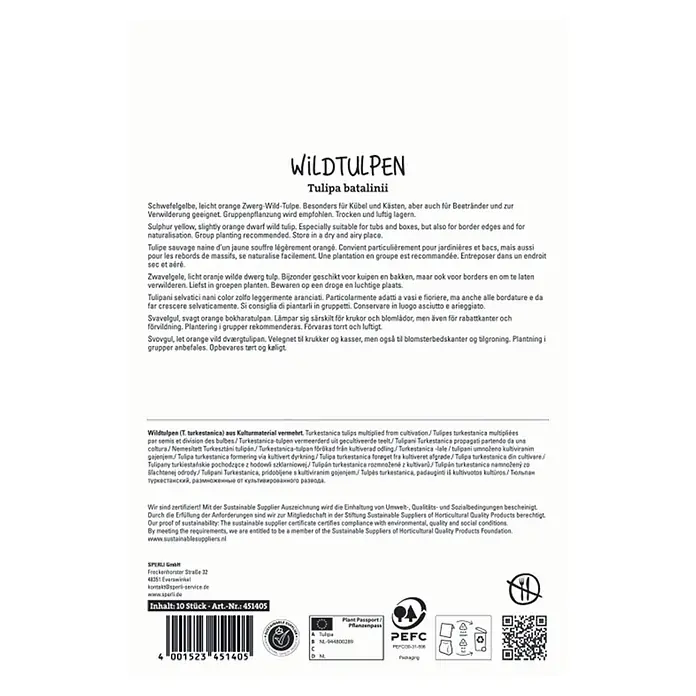 Sperli Blumenzwiebeln Wildtulpe Bright Gem - Tulipa batalinii, Gelb, 10 Stk. - Produktetikett für Wildtulpen Tulipa batalinii (10 Stück), schwefelgelbe Zwerg-Wild-Tulpe. Mit Beschreibungen, Art.-Nr. 451405 und Qualitätssiegeln.
