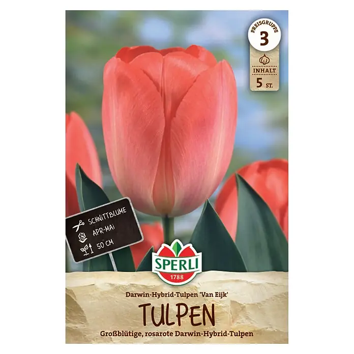 Sperli Blumenzwiebeln Darwin Hybrid Tulpe Van Eijk - Tulipa hybrids, Rosa, Rot, Anzahl Blumenzwiebeln: 5 Stk. - Verpackung für 5 lachsrosa, großblütige Darwin-Hybrid-Tulpen, 50cm hoch, als Schnittblume geeignet, Blüte Apr-Mai.