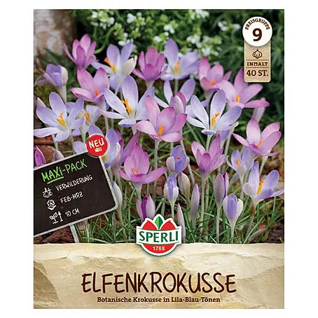 Sperli  Blumensamen Elfenkrokus Maxipack