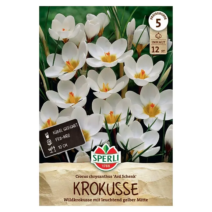 Sperli Blumenzwiebeln Wildkrokus ARD Schenk - Crocus chrysanthus, 12 Stk. - Weiße Wildkrokusse 'Ard Schenk' mit leuchtend gelber Mitte, 12 Stück pro Packung, für Töpfe geeignet.
