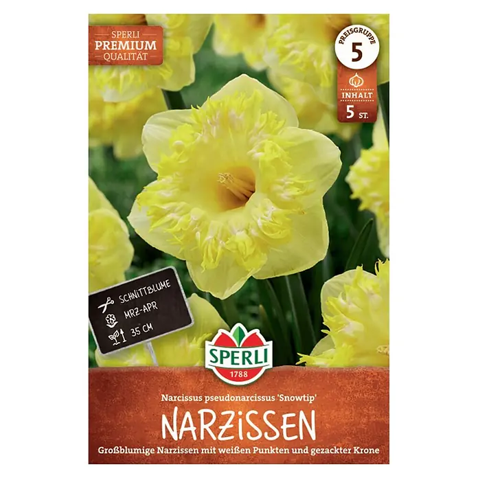 Sperli Blumenzwiebeln Narzisse Snowtip - Narcissus pseudonarcissus, Gelb, 5 Stk. - Sperli-Packung mit 5 großblumigen, gelben Narzissen mit gezackter Krone und hellen Spitzen.