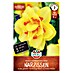 Sperli Blumenzwiebeln Premium Gefüllte Narzisse Tahiti 