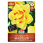 Sperli Blumenzwiebeln Premium Gefüllte Narzisse Tahiti (Narcissus pseudonarcissus, Gelb, Orange, Anzahl Blumenzwiebeln: 5 Stk.) | BAUHAUS