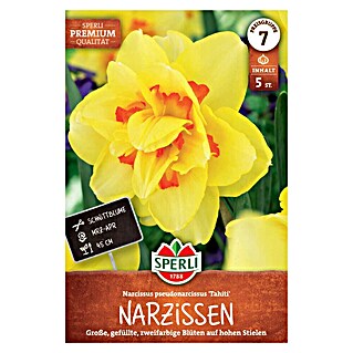 Sperli Blumenzwiebeln Premium Gefüllte Narzisse Tahiti (Narcissus pseudonarcissus, Gelb, Orange, Anzahl Blumenzwiebeln: 5 Stk.)