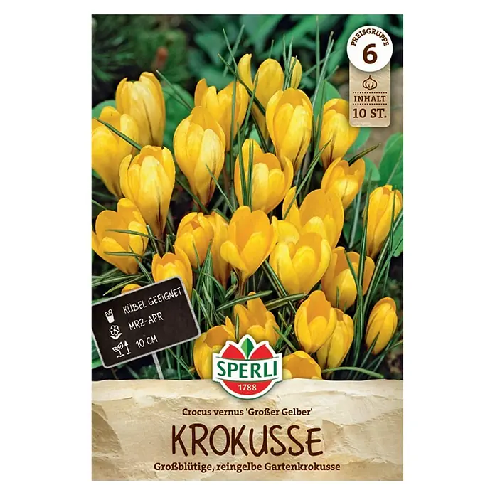 Sperli Blumenzwiebeln Krokuss Großer Gelber - Crocus vernus, Gelb, Anzahl Blumenzwiebeln: 10 Stk. - Blühende, gelbe Krokusse, 10 Stück, auch für Kübel geeignet.