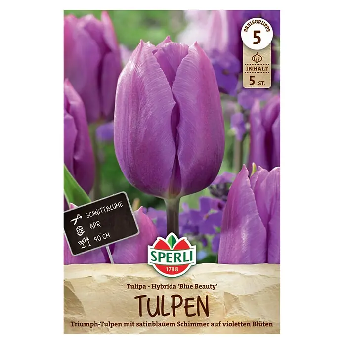 Sperli Blumenzwiebeln Triumph-Tulpe Blue Beauty - Tulipa x Hybrida, Violettblau, 5 Stk. - Verpackung für 'Blue Beauty' Triumph-Tulpenzwiebeln mit leuchtend violetten Blüten, 5 Stück, 40 cm hoch.