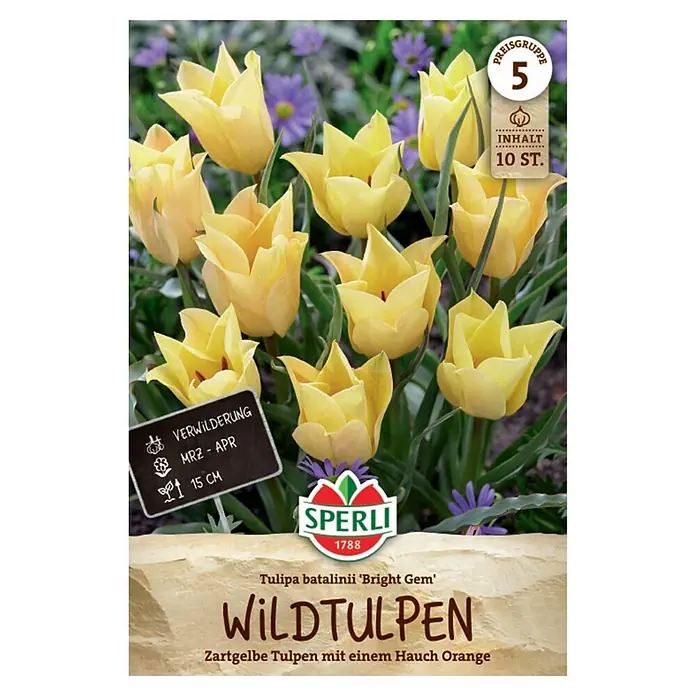 Sperli Blumenzwiebeln Wildtulpe Bright Gem - Tulipa batalinii, Gelb, 10 Stk. - Packung mit 10 zartgelben Wildtulpen 'Bright Gem' mit einem Hauch Orange, zum Verwildern.