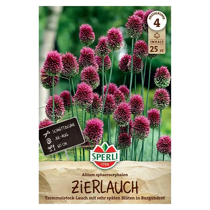 Sperli Blumenzwiebeln Zierlauch sphaerocephalon - Allium sphaerocephalon, Purpurrot, 25 Stk. - Magenta Trommelstock-Lauchblüten auf langen grünen Stielen, mit Samentüten-Etikett: 'ZIERLAUCH', Inhalt 25 St., Blüte Jul-Aug, 60 cm.