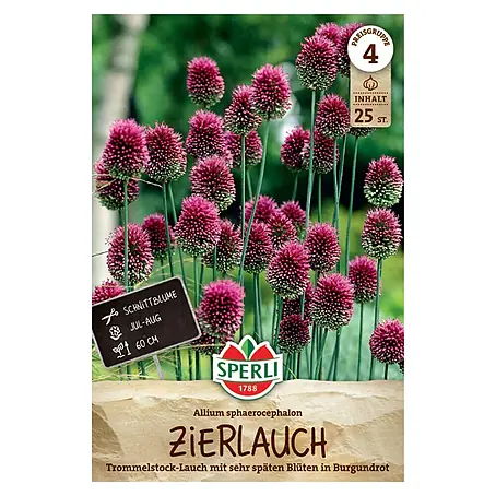 Sperli  Blumenzwiebeln Zierlauch sphaerocephalon
