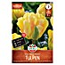 Sperli Tulpen Akebono 