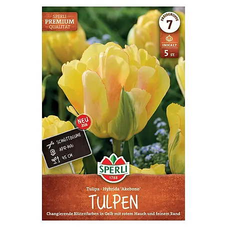 Sperli  Tulpen Akebono
