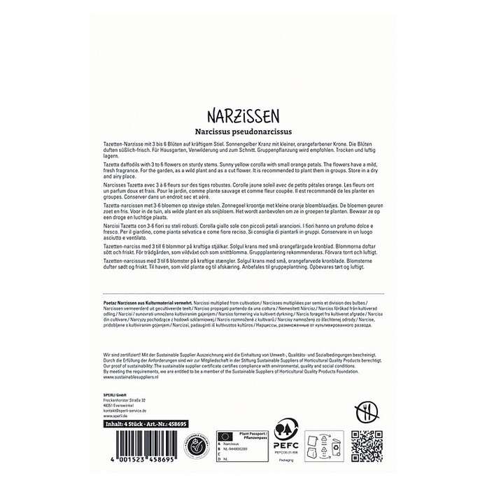 Sperli Narzissen Martinette (Narcissus pseudonarcissus, Gelb) | BAUHAUS