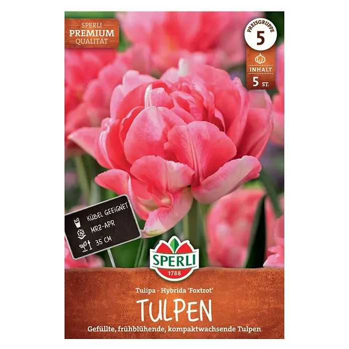 Sperli Blumenzwiebeln Gefüllte Frühe Tulpe Foxtrot - Tulipa x Hybrida, Rosa, 5 Stk. - SPERLI Tulpenzwiebeln 'Foxtrot' (gefüllt, rosa), Packung mit 5 St., Blüte März-April, 35cm hoch.