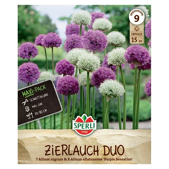 Sperli Blumenzwiebeln - Allium sp., Anzahl Blumenzwiebeln: 15 Stk., Weiß, Violett - Sperli 'Zierlauch Duo' Zwiebelverpackung mit lebhaften lila & weißen Alliumblüten. Enthält 15 Zwiebeln, wird 70-90cm hoch.