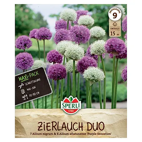 Sperli  Blumenzwiebeln